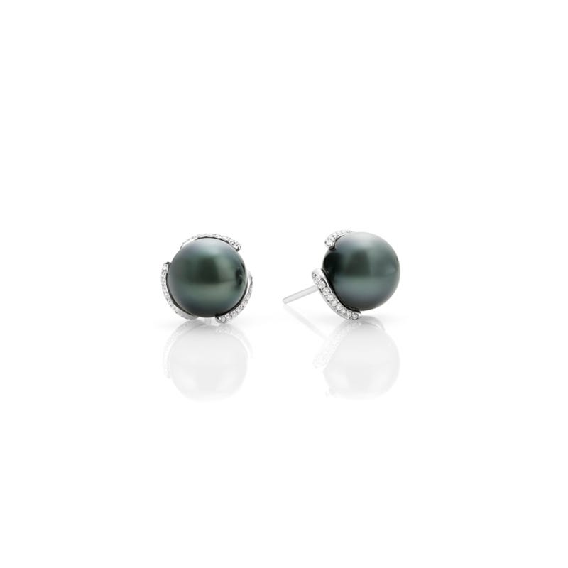 Embrace Black South Sea Cultured Pearl Earrings in Silver
