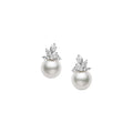 White South Sea Cultured Pearl and Diamond Earrings in Silver