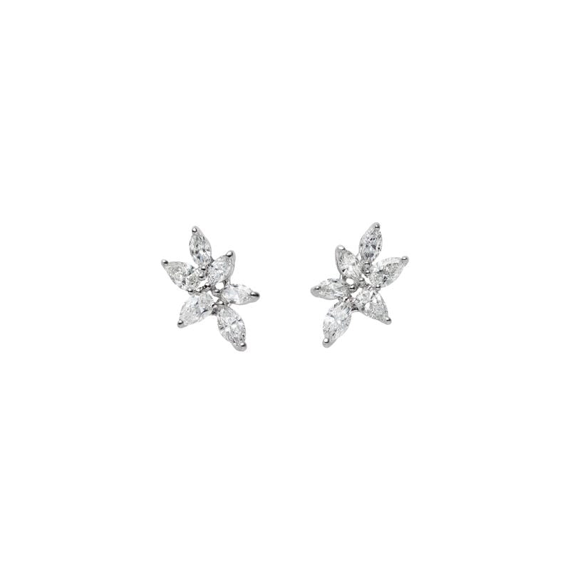 Diamond Earrings in Silver