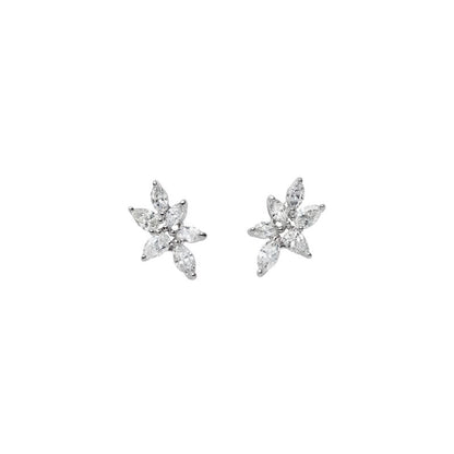 Diamond Earrings in Silver