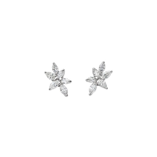 Diamond Earrings in Silver
