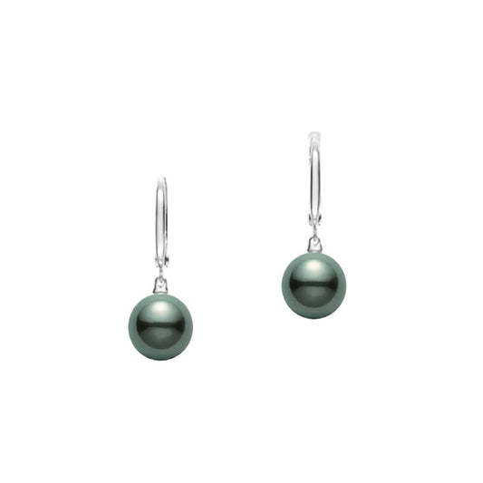 Black South Sea Cultured Pearl Drop Earrings in Silver