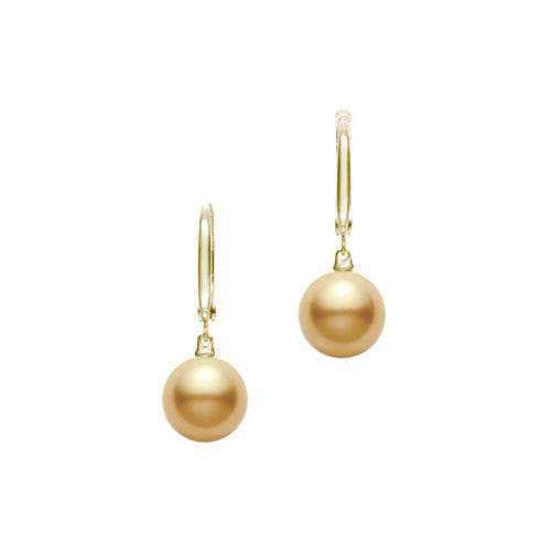 Golden South Sea Cultured Pearl Earrings in Yellow
