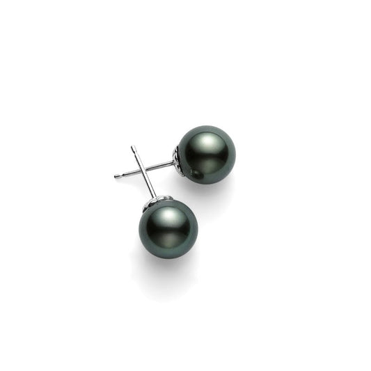 Black South Sea Stud Earrings In Silver